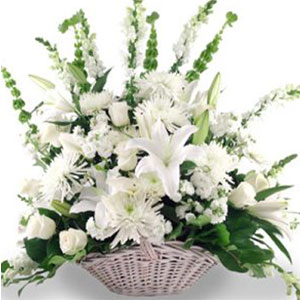 All White Basket - 1