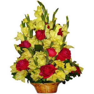 Red & Yellow Basket