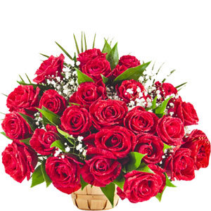 (003) 24 pieces red roses in a basket