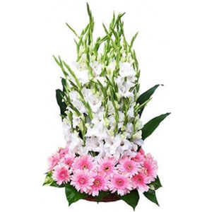 (15) Pink & White flower in basket