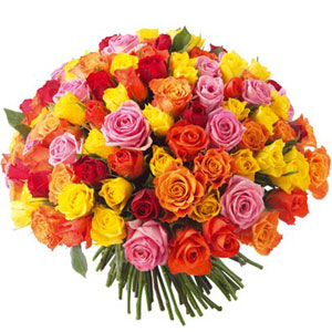 (22)100 pcs Multicolor roses in bouquet