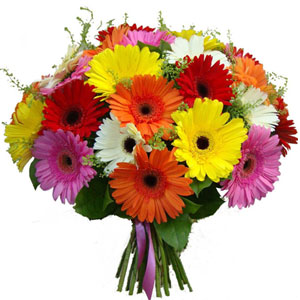 (0008) Mixed Gerbera in Bouquet