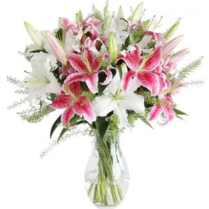 (03) Pink & White Lilies in a vase.
