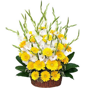 Gerberas & Gladiolas in a basket