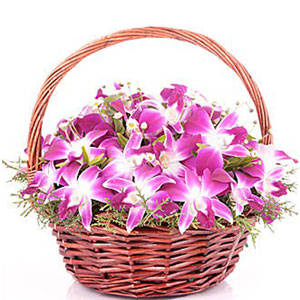 (16) Orchids in a Basket
