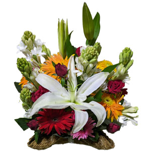 MIx Flower Basket 
