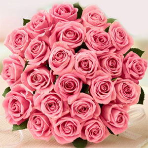 (24) 24 pcs imported Pink Roses in a bouquet