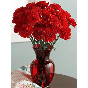 Red Carnations in a Vase