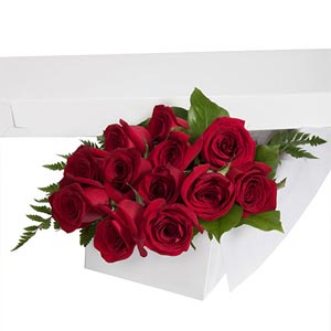 (29) 2 Dozen Red Rose In a Box
