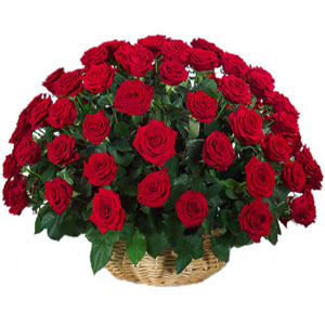 4 dozen red roses in a basket to Bangladesh