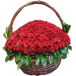 (33) 100 pieces red roses in basket