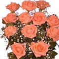 Peach Rose