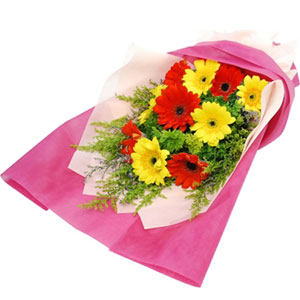 Gerbera in a bouquet