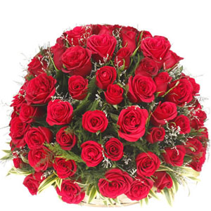 50 pieces red roses in a basket