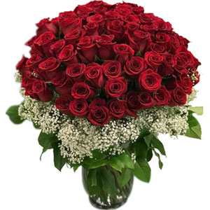 (39) 50 pieces red roses in a vase