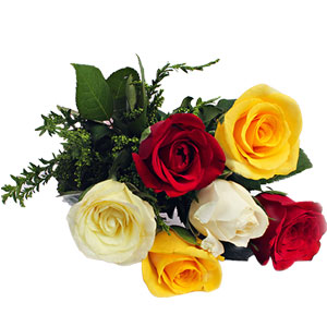 (004) 6 pcs mix roses in bouquet