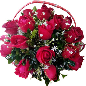 24 Red Roses with Small Tiny White Fillers in Basket