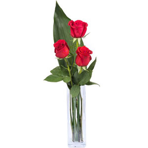 (002) 3 Pcs Red Roses in vase
