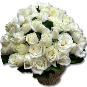 Elegant Off-White Rose Basket (50 Pcs)