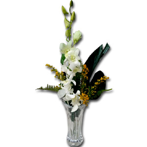 1 Pieces orchid in a vase
