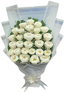 Pure White Poddo – 30 Stems