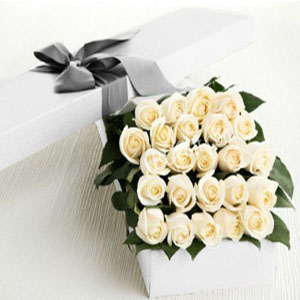 24 Pcs imported white roses in a box