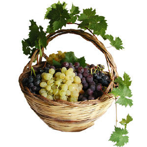 Grape Basket