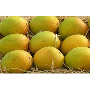 (088)Haribanga Mango-5 Kg