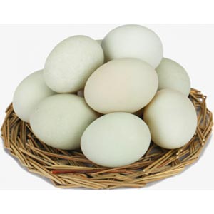 (33)1 Dozen Duck's Egg