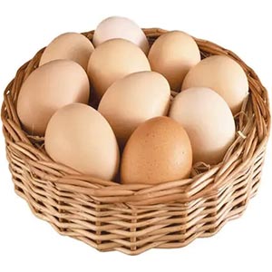 (32)1 Dozen Farm Chicken's Egg