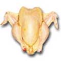 Meat - Chicken (Firm) - 1 kg