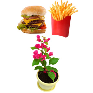 The Bloom & Burger Box
