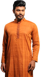 Endi Cotton Panjabi