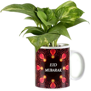 Printed Ceramic Mug with Money Plant