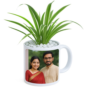 Photo Mug with Spider Plant