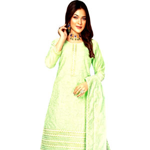 (19) Organza Salwar Kamiz