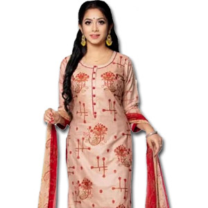Cotton Salwar Kamiz W/ Georgette Orna