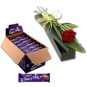 (17) Dairy Milk Chocolate W/ Red Rose