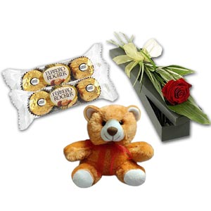  Teddy Bear W/ Chocolates & Flowers