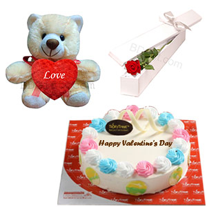 Teddy, Cake and Roses Surprise