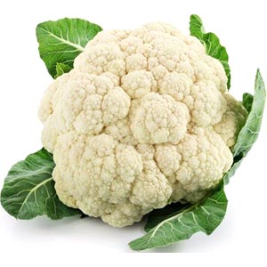 Cauli-Flower(Fullcopi)