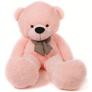 Buy Teddy bear and dolls at Best Price in Bangladesh